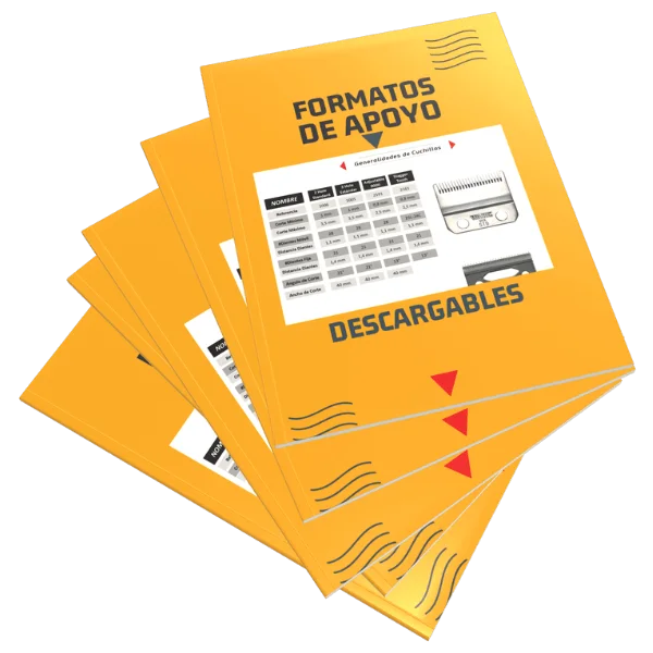 Material de apoyo descargable