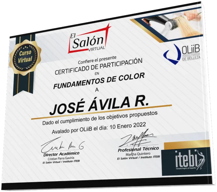 Certificado de participación en Fundamentos de Color
